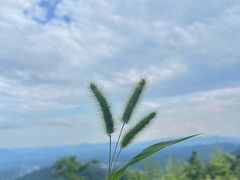 -东天目山风景区