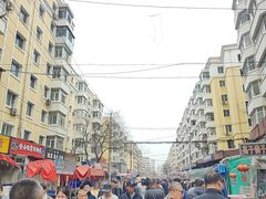 -哈尔滨道外花鸟鱼市场
