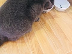 -壹人壹像工作室(购物公园店)