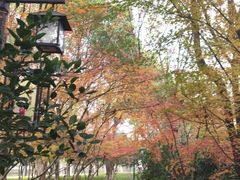 -杭州半山国家森林公园