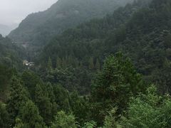 -东天目山风景区