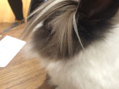 -藦茜花园宠物主题亲子互动体验馆(国顺东路店)