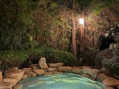 -天目湖涵田半山温泉