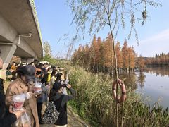 -白鹭湾湿地公园