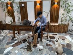 -喵屿·大理花园猫咖