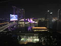 -新加坡丽思卡尔顿美年酒店