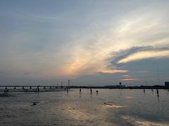 -南汇新城海滩