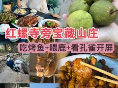 -丽泽山庄·生态怀柔菜·虹鳟鱼(红螺寺店)