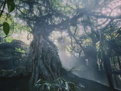 -青青世界