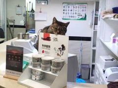 -安安宠医·安宠宠物医院