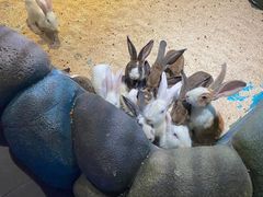 -常州海昌海洋探索馆