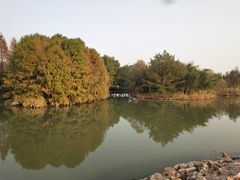 -梁鸿国家湿地公园