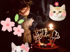 -姆们M Sweetie Cake(五道口店)