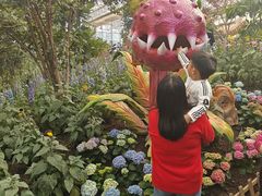 -沈阳植物园