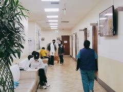 -美联众合动物医院·24h转诊中心
