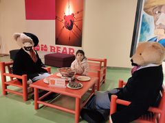 -成都泰迪熊博物馆