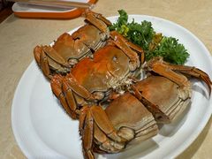 -杨氏青龙虾·羊蝎子(珠江路店)