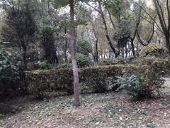 -长白岛森林公园