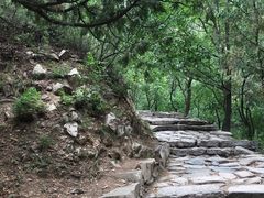 -北京鹫峰国家森林公园