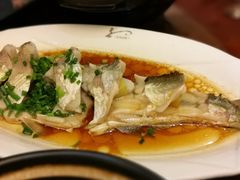 -千岛湖品鱼馆(钓鱼岛店)