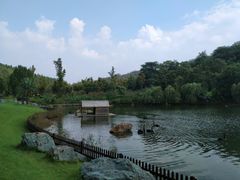 -南京银杏湖乐园