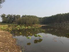 -东郊湿地公园