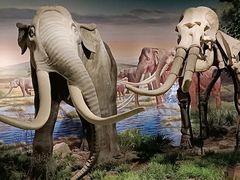 -湖南省地质博物馆