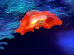 -小镇影院迪士尼小熊Duffy与他的朋友合影地