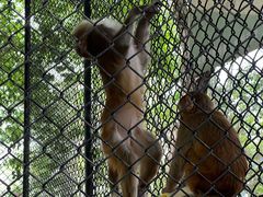 -长白岛森林公园