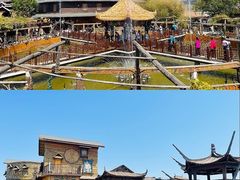 -呀路古热带植物园