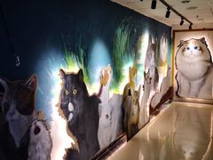 -猫腻·猫咖·撸猫馆(星光大道店)