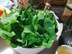 水煮鸡毛菜-初蓉丨遇见新川菜(亲贤街荣耀店)