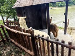 -上海野生动物园