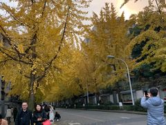 -四川大学(望江校区)