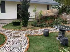 -那琴半岛地质海洋公园