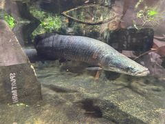 -香港海洋公园