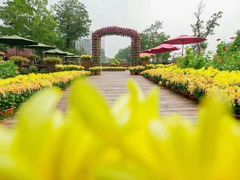 -南通洲际绿博园