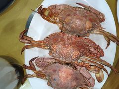 -鸿港海鲜批发市场