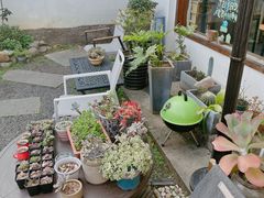 -她说户外烧烤团建(西湖店)