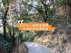 -火炉山森林公园