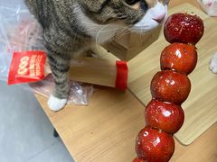 -京天红酒家(虎坊路店)