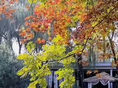 -洛阳市隋唐城遗址植物园