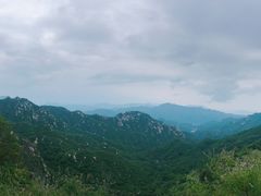 -大岭沟猕猴桃谷风景区