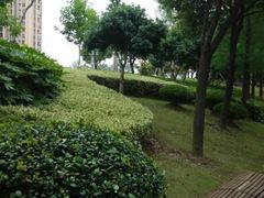 android_upload_pic-陈家山荷花公园