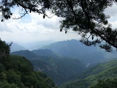 -牛背梁国家森林公园