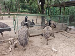 -青藏高原野生动物园