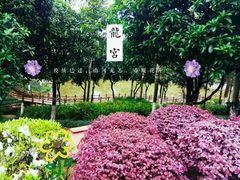 -龙头寺公园