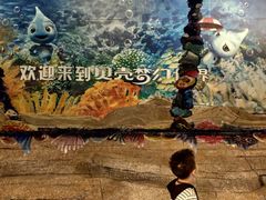 -贝壳梦幻世界