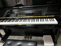 -梅纳·钢琴声乐架子鼓Mena Music(双井店)