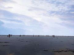 -南汇嘴观海公园